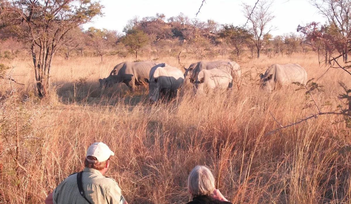 Долина Вонгке (Whovi Game Park)
